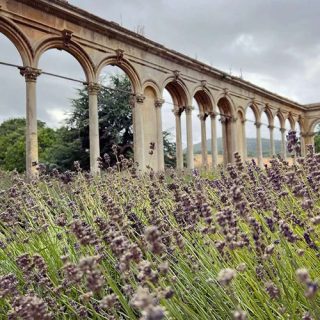 Witley Court and Gardens (English Heritage)