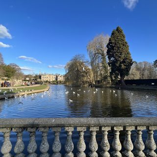Coombe Abbey Country Park