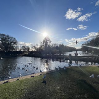 Coombe Abbey Country Park