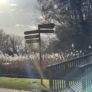 Coombe Abbey Country Park