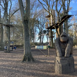 Coombe Abbey Country Park - Go Ape