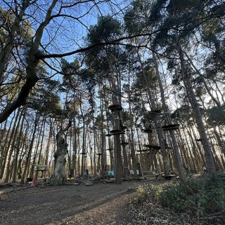 Coombe Abbey Country Park - Go Ape