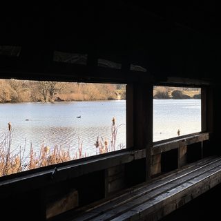 Coombe Abbey Country Park - Bird Hide - BIrd Watching