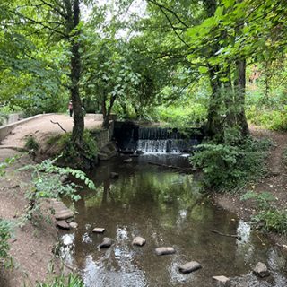 Markeaton Park