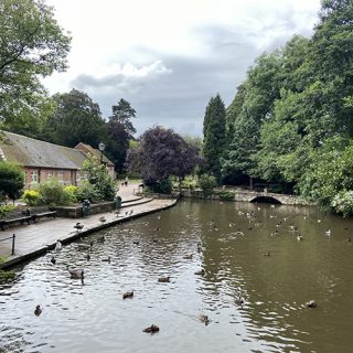 Markeaton Park