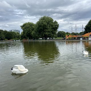 Markeaton Park