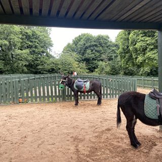 Markeaton Park
