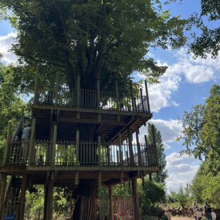 Tree House in Anglesey Abbey