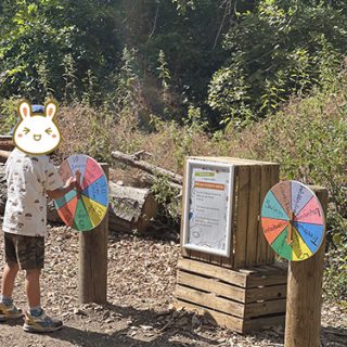 Play Area in Anglesey Abbey