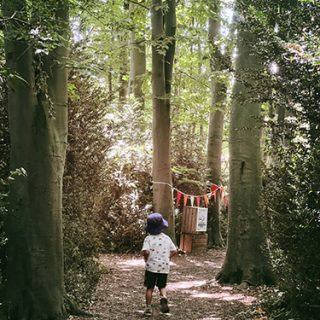 Woodland Walk to Play Area