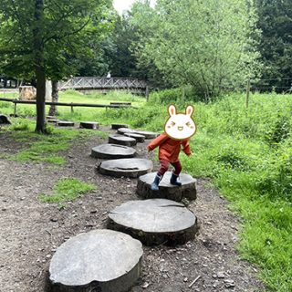 Stepping Logs - Belton House Adventure Playground