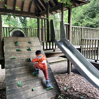 Ramp / Rock Climber and Slide