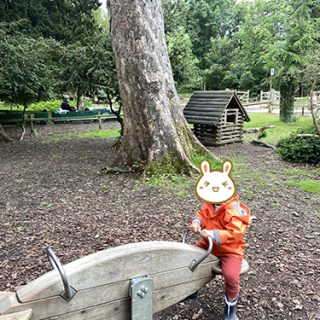 Mini Seesaw - Belton House Adventure Playground