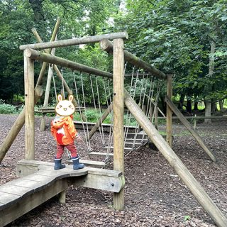 Log Rope Traverse - Belton House Adventure Playground