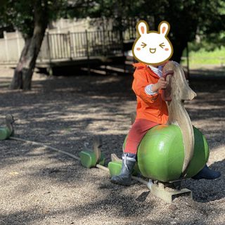 Wooden Rider - Belton House Adventure Playground
