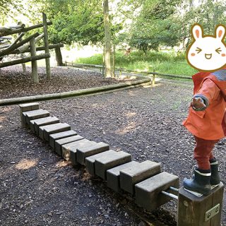 Wobbly Logs - Belton House Adventure Playground