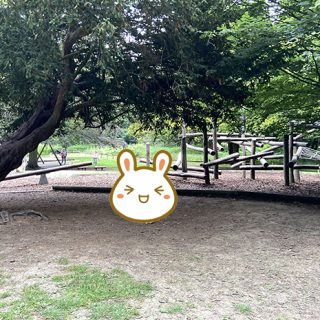 Log Climber - Belton House Adventure Playground