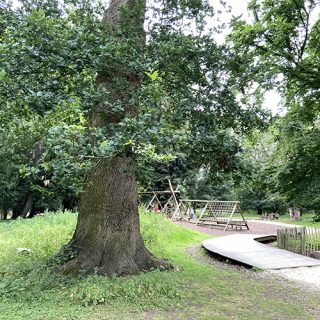 Scramble Nets / Log Climber - Belton House Adventure Playground