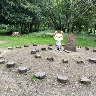 Stepping Logs - Belton House Adventure Playground