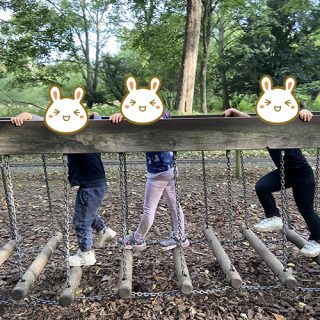 Log Traverse - Belton House Adventure Playground