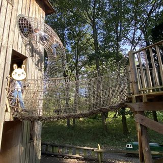 Wobbly Bridge - Belton House Adventure Playground