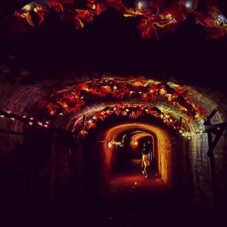Tunnel to the brew house- Calke Abbey