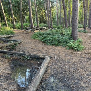 Natural Play Area - Calke Explore - Calke Abbey