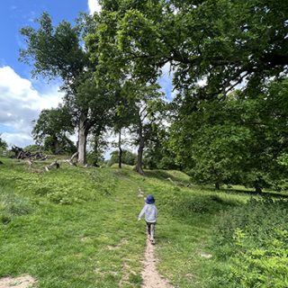 Walking in the woods - Calke Abbey