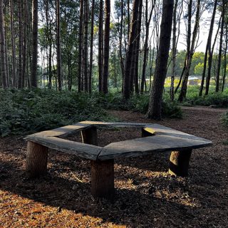 Natural Play Area - Calke Explore