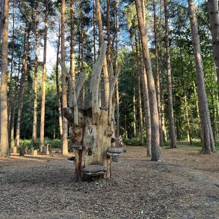 New (2023) Mushroom Tree Climbing - Natural Play Area - Calke Explore - Calke Abbey
