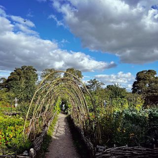 Gardens - Calke Abbey