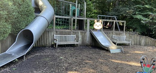 Large Climbing Frame and Slides in Waddesdon Manor