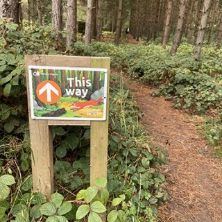Gruffalo Trail in Sherwood Pines