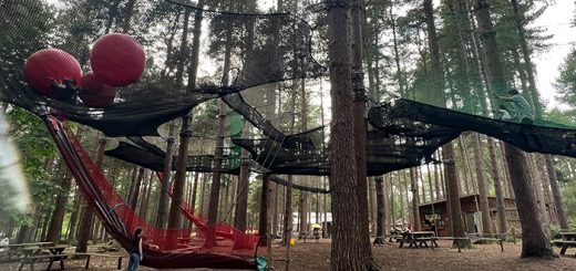 Sherwood Pines