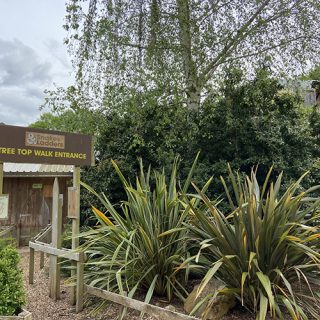 Tree Top Walk Entrance - Wicksteed Park