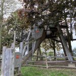 Tree Top Walk - Wicksteed Park