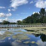 Lake - Wicksteed Park