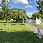 Lakeside Walk -Wicksteed Park
