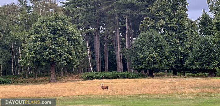 Wollaton Park