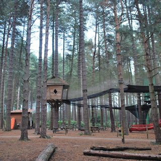 Sherwood Pines - Go Ape Sherwood - Nets Adventure