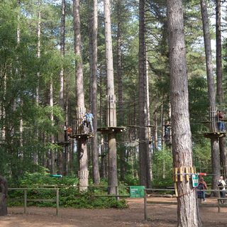 Sherwood Pines - Go Ape Tree Top Challenge - High Rope