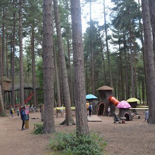Sherwood Pines - Go Ape Nets Adventure - Children's Play Area