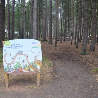 Sherwood Pines - Superworm Trail