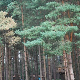 Sherwood Pines - Play Area