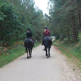 Horse Riding - Sherwood Pines