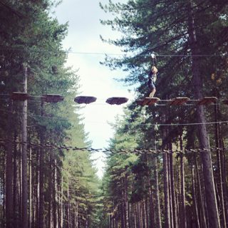 Go Ape Tree Top Challenge - High Rope - Sherwood Pines