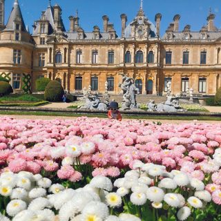 Blooming Flower with South Fountain Sculptures of Waddesdon Manor