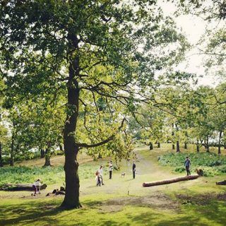 Bradgate Park