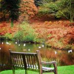 Bench near water - Bradgate Park
