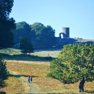 Bradgate Park - Old John